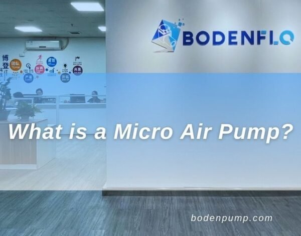 What is Micro Air Pump? - BODENFLO 80LPM 800g 24V Pump