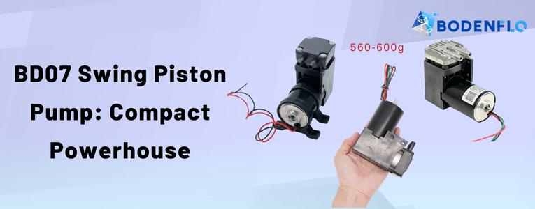 BD07 Swing Piston Pump by BODENFLO