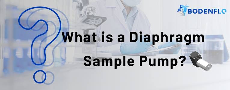 Detailed Look at Diaphragm Sample Pumps