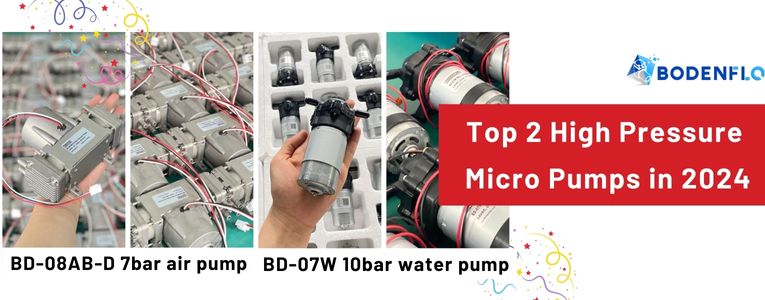 BODENFLO BD-08AB-D and BD-07W Pumps: Detailed View of High-Pressure Air and Water Pumps