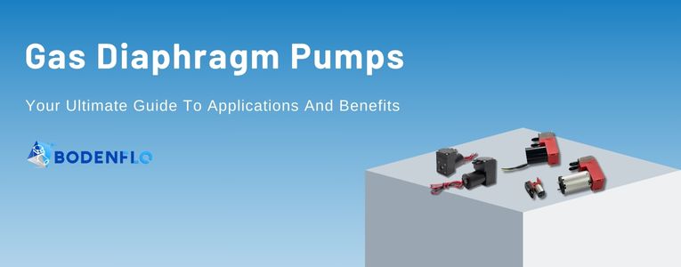 Detailed view of Gas Diaphragm Pump components and operation settings.