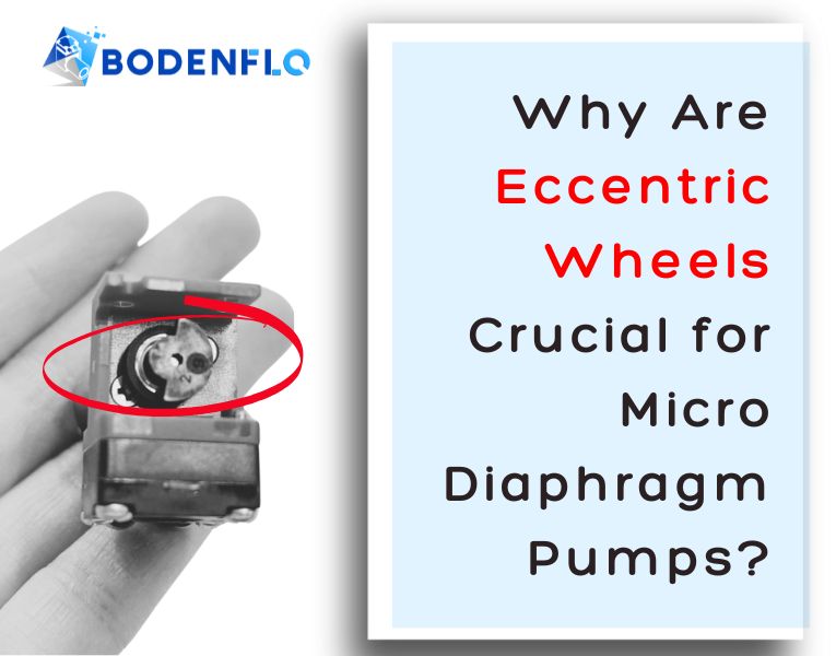 Eccentric wheel in a micro diaphragm pump