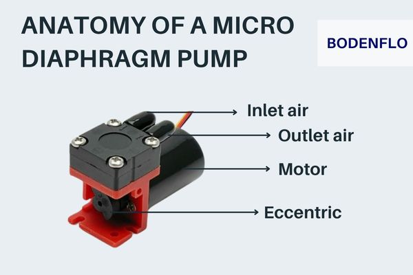 Cutaway illustration of a micro diaphragm pump's internal workings