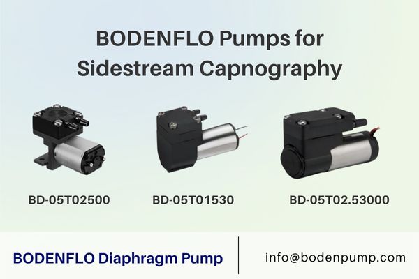 A side-by-side image of the BD-05T01530, BD-05T02500, and BD-05T02.53000 pumps