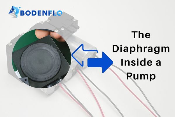 A cutaway view of a BODENFLO pump with the flexible diaphragm component highlighted