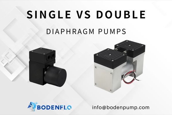 Professional Product Image of Single and Double Diaphragm Pumps