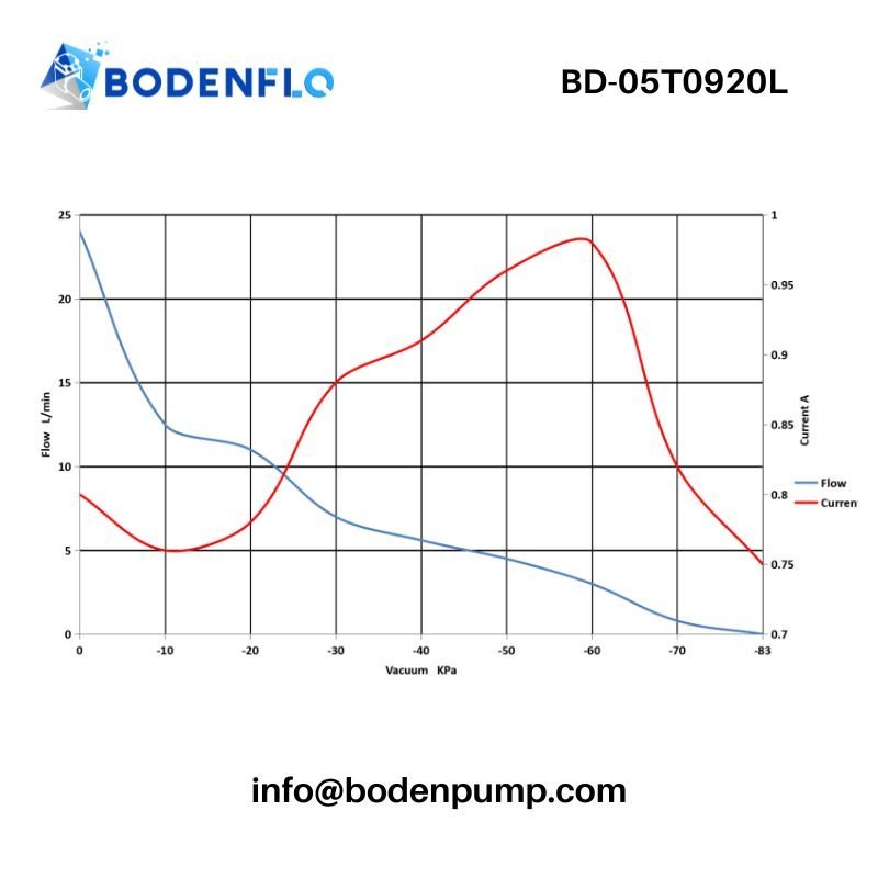 BD-05T0920L 24V double head diaphragm vacuum pump performance curve