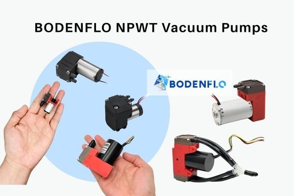 A side-by-side photo of the compact BD-05T02500B and the more powerful BD-05TVB-S pump