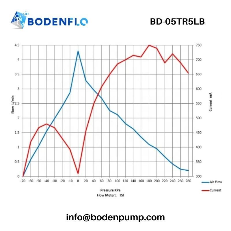 Swing Piston Gas Pump performance curve airflow vs pressure BD-05TR5LB