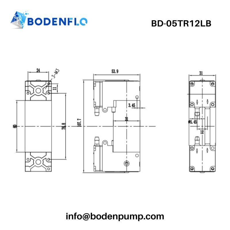 Dimensions and mounting drawing of double head brushless piston pump – BD-05TR12LB