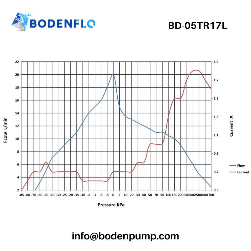 Swing piston gas pump performance curve – flow vs pressure BD-05TR17L