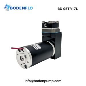 High pressure oil-free swing piston gas pump 12V 24V mini compressor BD-05TR17L