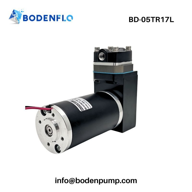 High pressure oil-free swing piston gas pump 12V 24V mini compressor BD-05TR17L