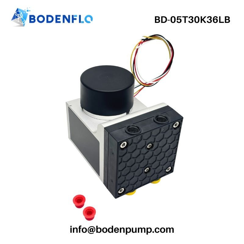 Oil less vacuum pump with brushless motor for clean air systems