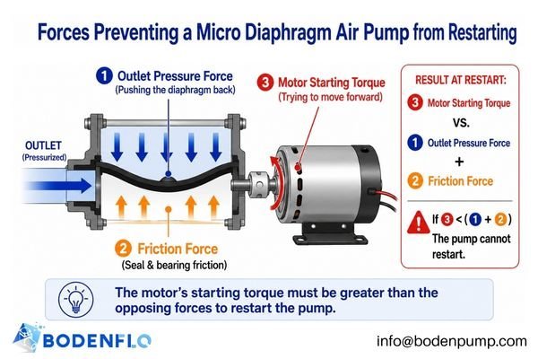 A diagram showing forces acting on a pump motor at startup